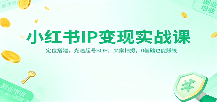 小红书IP变现实战课：定位搭建，光速起号SOP，文案拍摄，0基础也能赚钱-轻资本网