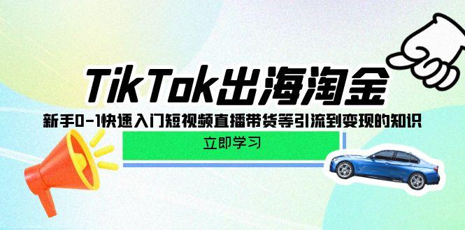 (10035期)TikTok-出海淘金，新手0-1快速入门短视频直播带货等引流到变现的知识-轻资本网