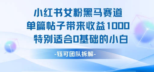小红书女粉黑马赛道单篇帖子带来收益1k+，特别适合0基础的小白-轻资本网