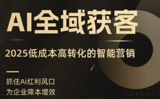 AI全域获客实训营，2025低成本高转化的智能营销，精准找客，高效营销-轻资本网