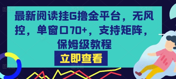最新阅读挂G撸金平台，无风控，单窗口70+，支持矩阵，保姆级教程【揭秘】-轻资本网