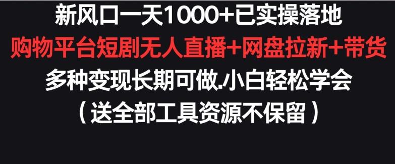 新风口一天1000+已实操落地购物平台短剧无人直播+网盘拉新+带货多种变现长期可做【揭秘】-轻资本网