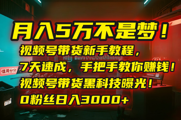 月入5万不是梦！视频号带货新手教程，7天速成，手把手教你赚钱！视频号...-轻资本网