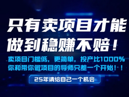 只有卖项目才能做到稳挣不赔，门槛低，更简单，你也可以年入百个W【揭秘】-轻资本网