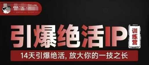 引爆绝活IP训练营，14天引爆绝活，放大你的一技之长-轻资本网