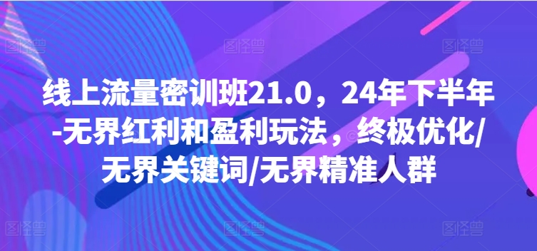 线上流量密训班21.0，24年下半年-无界红利和盈利玩法，终极优化/无界关键词/无界精准人群-轻资本网
