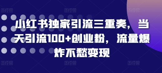 小红书独家引流三重奏，当天引流100+创业粉，流量爆炸不愁变现【揭秘】-轻资本网