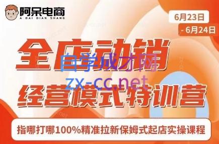 阿呆电商·全店动销经营模式特训营(线下录音+思维导图)-轻资本网