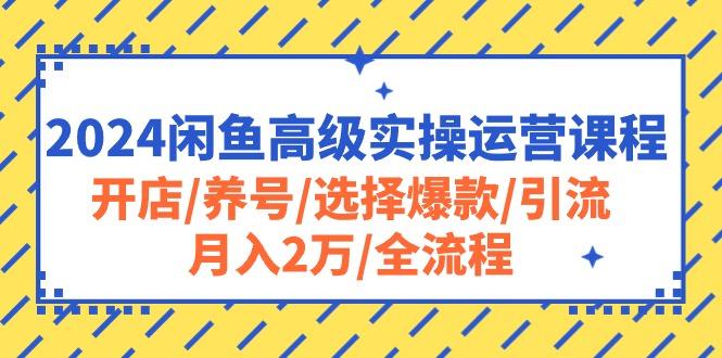 2024闲鱼高级实操运营课程：开店/养号/选择爆款/引流/月入2万/全流程-轻资本网