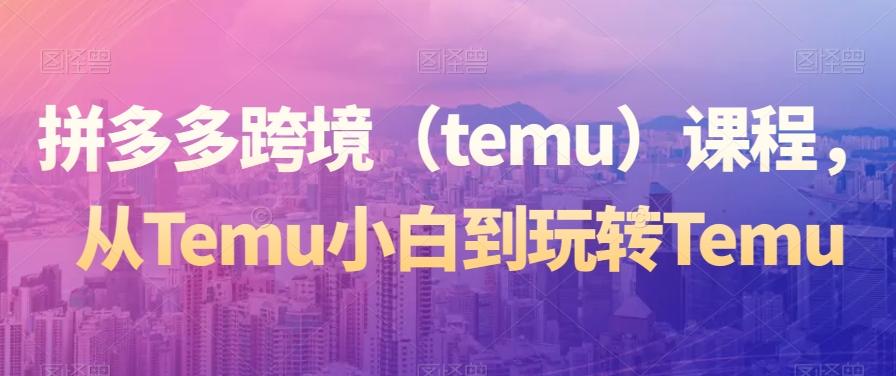 拼多多跨境（temu）课程，从Temu小白到玩转Temu-轻资本网