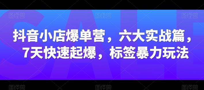 抖音小店爆单营，六大实战篇，7天快速起爆，标签暴力玩法-轻资本网