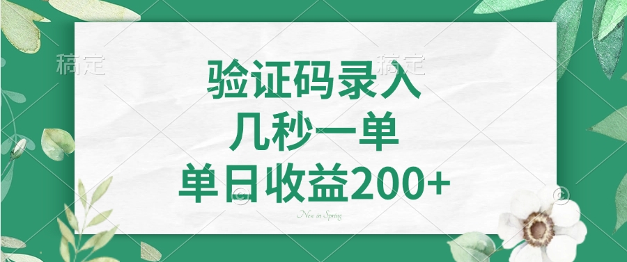 验证码录入，几秒一单，单日收益200+-轻资本网