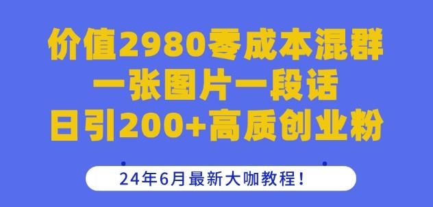 价值2980零成本混群一张图片一段话日引200+高质创业粉，24年6月最新大咖教程【揭秘】-轻资本网