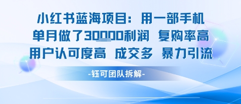 小红书蓝海项目，一部手机单月做了3W利润，小白也能月入过1W用户认可度高成交多-轻资本网