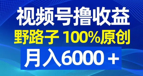 视频号野路子撸收益，100%原创，条条爆款，月入6000＋【揭秘】-轻资本网