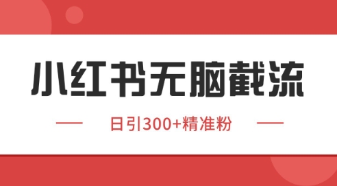 小红书截流同行客源，独家野路子获客玩法 日引200+暴力获客【揭秘】-轻资本网