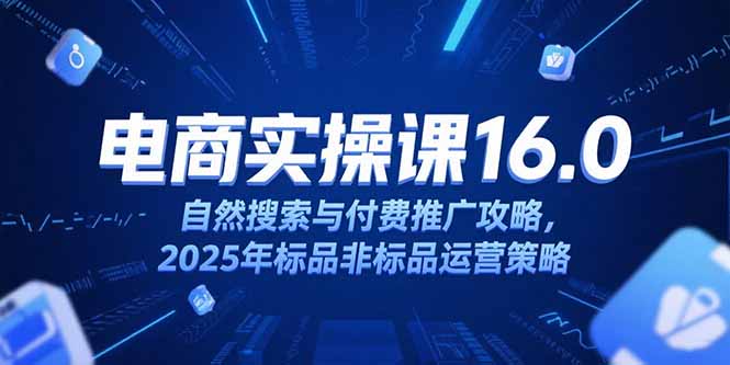 淘宝电商运营课16.0，自然搜索与付费推广攻略，2025年标品非标品运营策略-轻资本网
