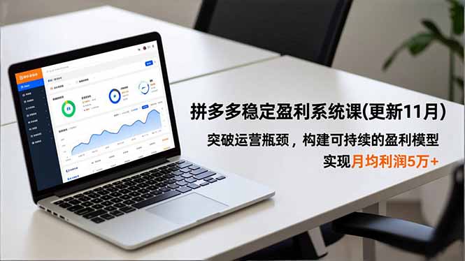 拼多多稳定盈利系统课(更新11月-轻资本网