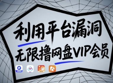 利用平台漏洞，无限撸网盘VIP会员，用户亲测有效!【漏洞原理+操作演示】-轻资本网