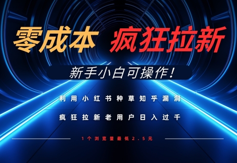 利用小红书种草知乎漏洞，零成本疯狂拉新日入数张，新手小白可操作-轻资本网