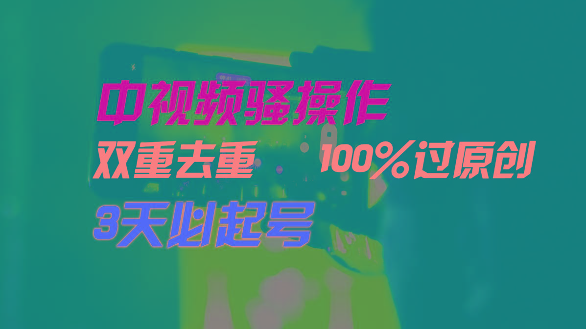 中视频骚操作，双重去重100%过原创，3天比必起号，简单无脑，月入3W+-轻资本网
