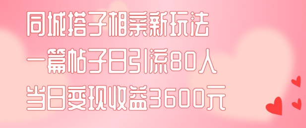 同城搭子相亲新玩法一篇帖子引流80人当日变现3600元(项目教程+实操教程)【揭秘】-轻资本网