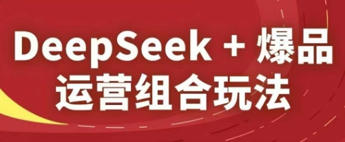 DeepSeek+爆品运营组合玩法，2025淘系精品课-轻资本网