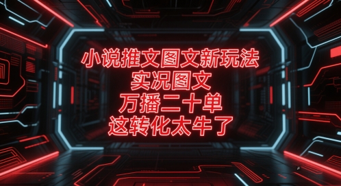 小说推文图文新玩法，实况图文，万播二十单，这转化太牛了！-轻资本网