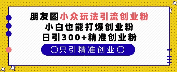 朋友圈小众玩法引流创业粉，小白也能打爆创业粉，日引300+精准创业粉【揭秘】-轻资本网
