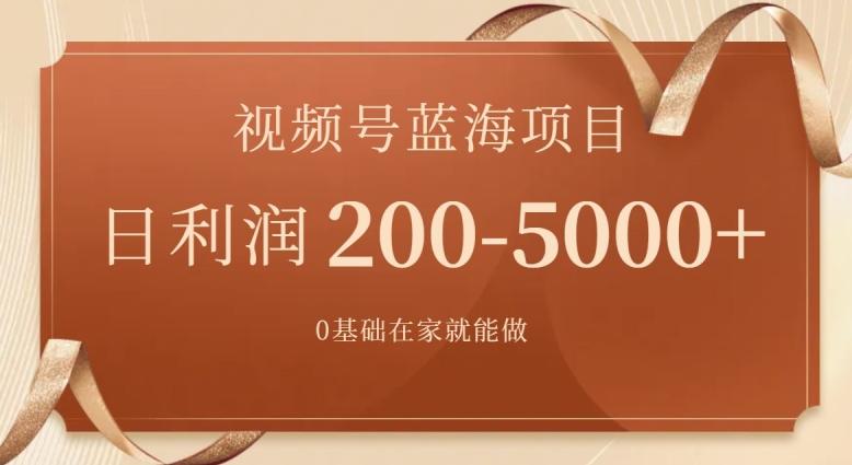 外边收费699视频号项目，最新玩法，简单好操作，一人可做，日四位数-轻资本网