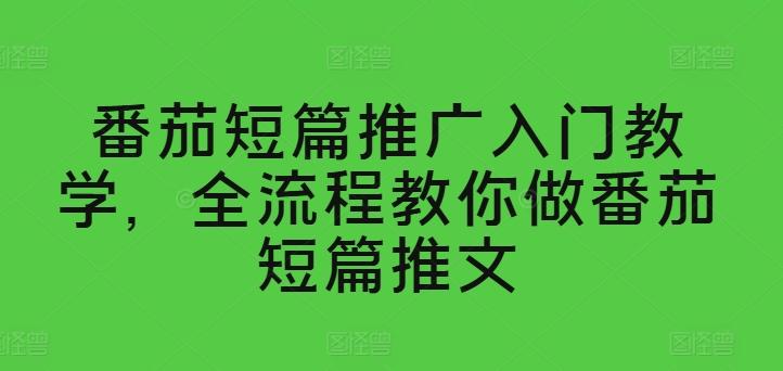 番茄短篇推广入门教学，全流程教你做番茄短篇推文-轻资本网