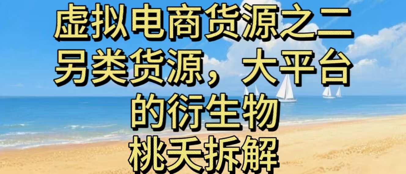 虚拟电商之二—另类的货源，大平台的衍生物-轻资本网