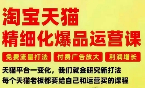 淘宝天猫精细化爆品运营课，免费流量打法-付费广告放大-利润增长-三大核心痛点，一次全部解决-轻资本网