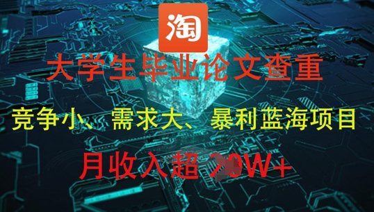 大学生毕业论文查重，暴利蓝海项目，月收入过1W+-轻资本网