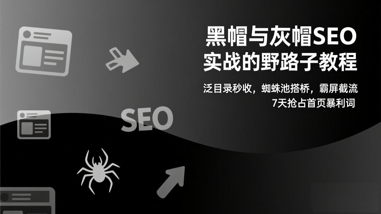 黑帽与灰帽SEO实战的野路子教程：泛目录秒收，蜘蛛池搭桥，霸屏截流，7天抢占首页暴利词-轻资本网