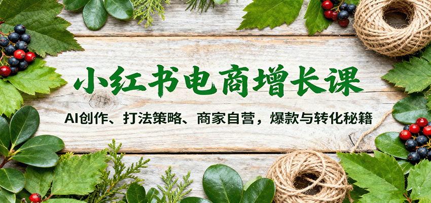 小红书电商增长课：AI创作、打法策略、商家自营，爆款与转化秘籍-轻资本网