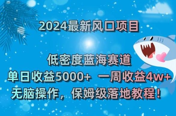 2024最新风口项目，低密度蓝海赛道，单日收益5000+，一周收益4w+！【揭秘】-轻资本网