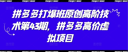 拼多多打爆班原创高阶技术第43期，拼多多高价虚拟项目-轻资本网