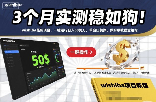 3个月实测稳如狗！wishlba最新项目，一键运行日入50美刀，单窗口躺挣，保姆级教程全给你【揭秘】-轻资本网