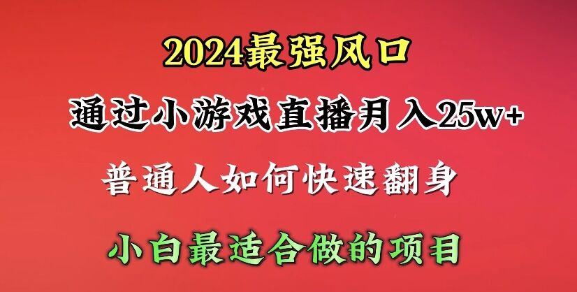 (10020期)2024年最强风口，通过小游戏直播月入25w+单日收益5000+小白最适合做的项目-轻资本网