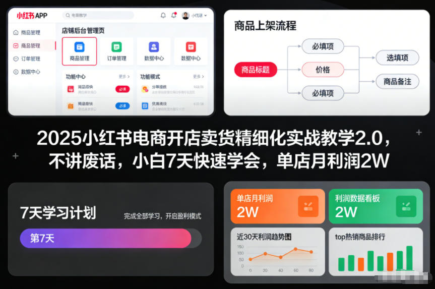 2025小红书电商开店卖货精细化实战教学2.0，不讲废话，小白7天快速学会，单店月利润2W-轻资本网
