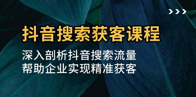 抖音搜索获客课程：深入剖析抖音搜索流量，帮助企业实现精准获客-轻资本网