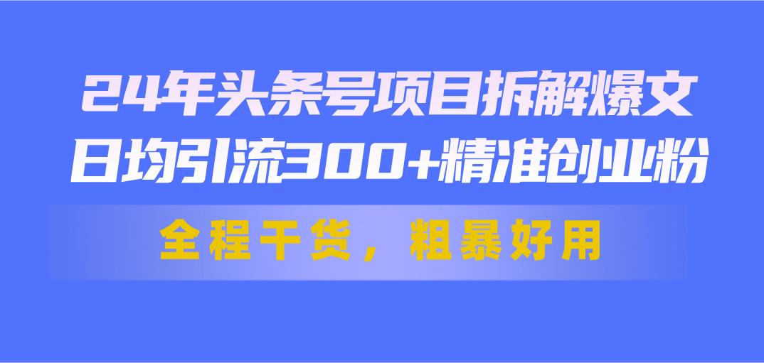 24年头条号项目拆解爆文，日均引流300+精准创业粉，全程干货，粗暴好用-轻资本网
