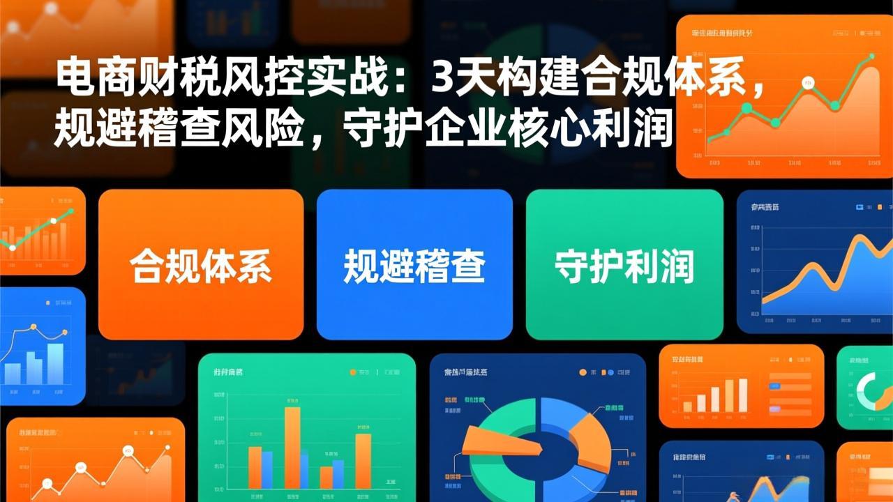 电商财税风控实战：3天构建合规体系，规避稽查风险，守护企业核心利润-轻资本网