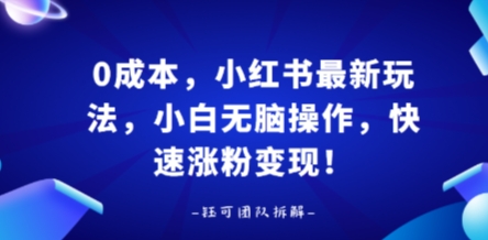 0成本，小红书最新玩法，小白无脑操作，快速涨粉变现-轻资本网