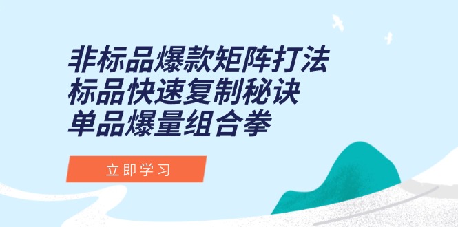 非标品爆款矩阵打法，标品快速复制秘诀，单品爆量组合拳-轻资本网