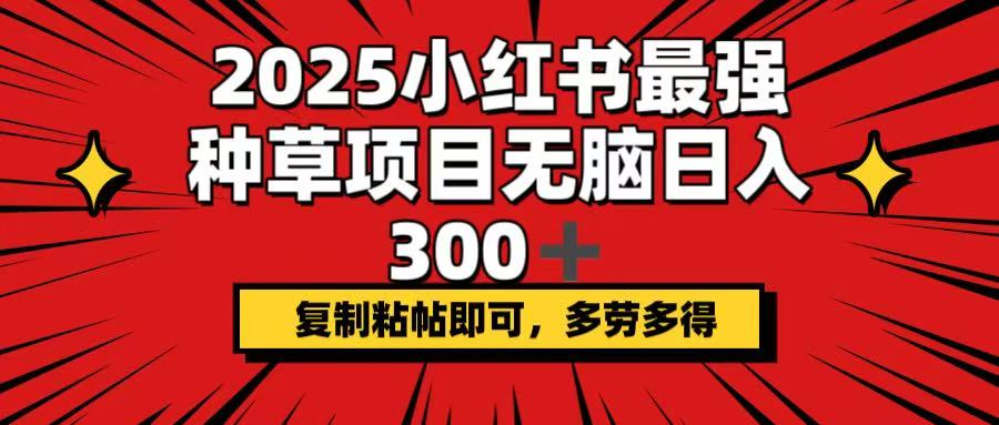 2025小红书最强种草项目，无脑日入300+，复制粘帖即可，多劳多得-轻资本网