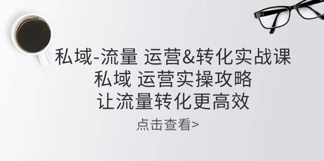 私域-流量 运营&转化实操课：私域 运营实操攻略 让流量转化更高效-轻资本网