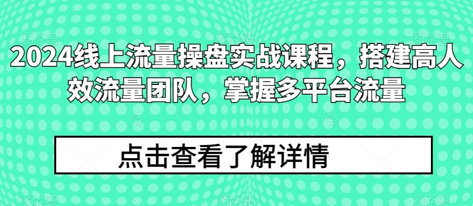2024线上流量操盘实战课程，搭建高人效流量团队，掌握多平台流量-轻资本网