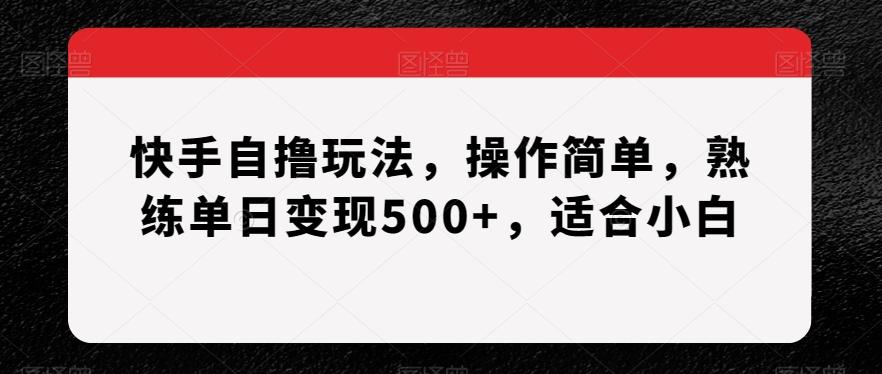 快手自撸玩法，操作简单，熟练单日变现500+，适合小白【揭秘】-轻资本网